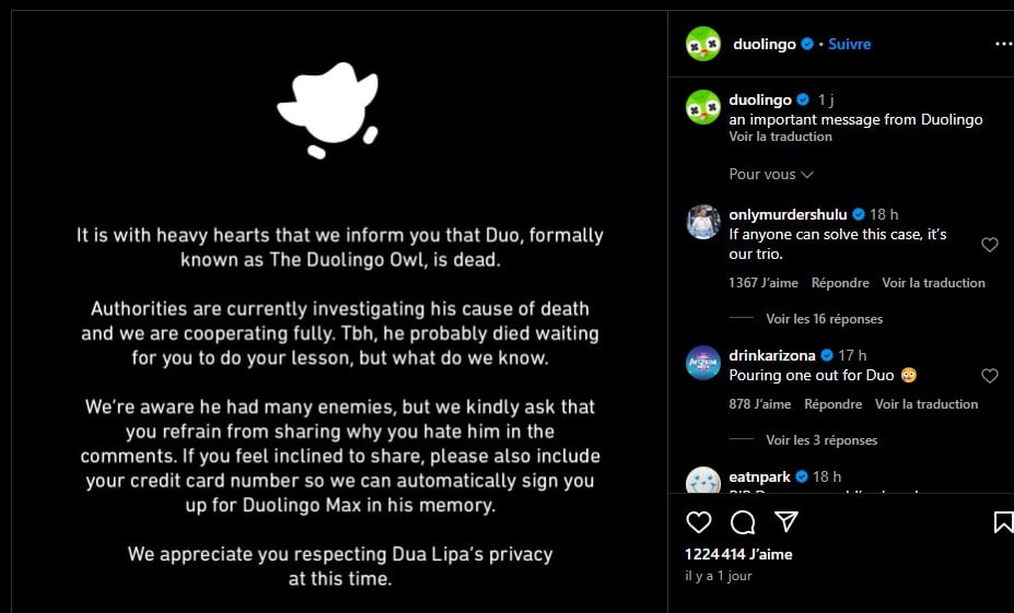 annonce décès Duo le célèbre hibou, mascotte de la marque Duolingo